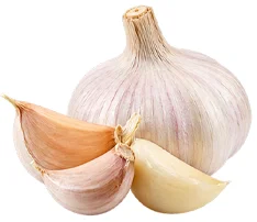 Knoblauch in {{OFFER_NAME}}