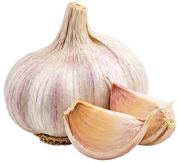 Knoblauch in {{OFFER_NAME}}