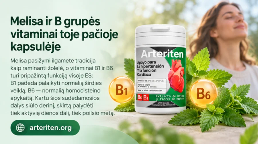 Melisse und B-Vitamine kombiniert in {{OFFER_NAME}}