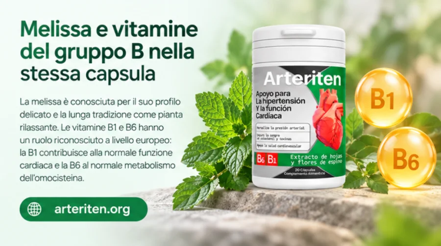 Melisse und B-Vitamine kombiniert in {{OFFER_NAME}}