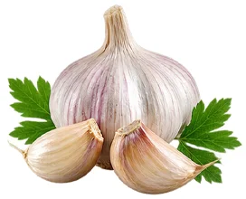 Vitamin B6 in {{OFFER_NAME}}