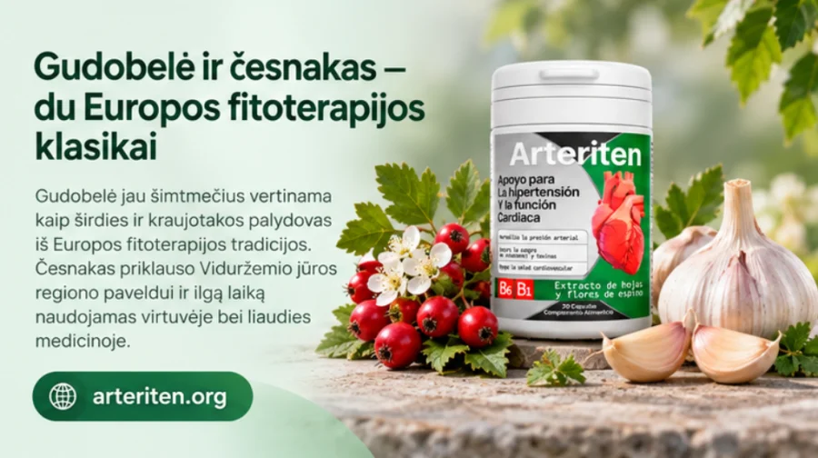 Weißdorn und Knoblauch, zwei Pflanzen der europäischen Phytotherapie in {{OFFER_NAME}}